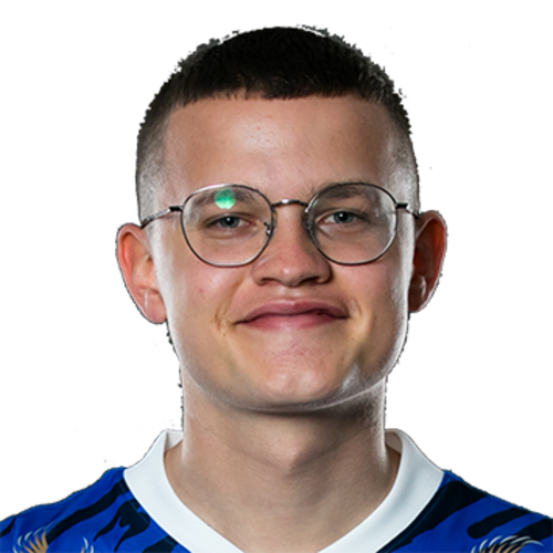 levyfinn