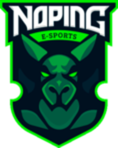 NoPing e-sports