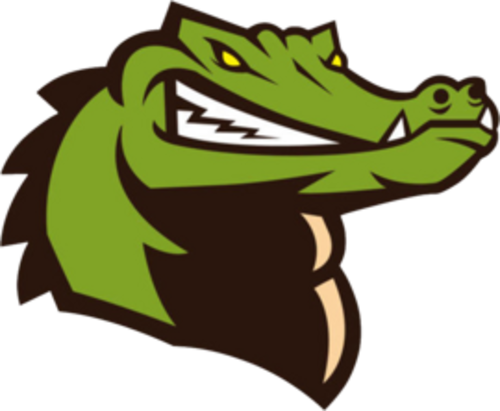 Crocodile