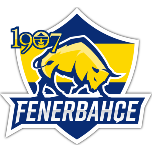 1907 Fenerbahçe Esports
