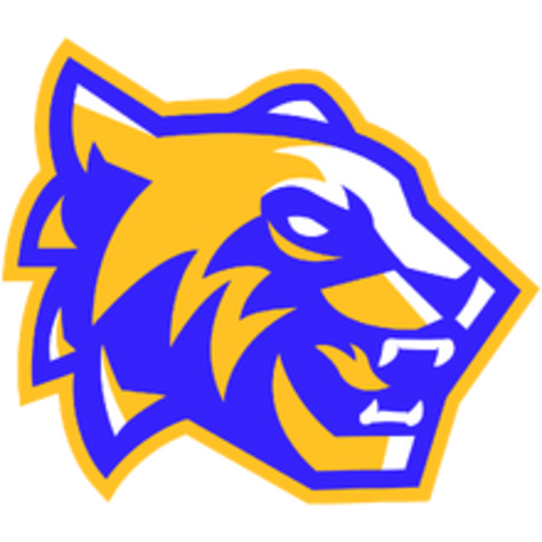 SDM Tigres
