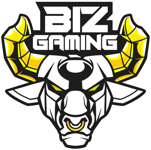 Biz Gaming