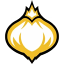 Onion Team