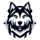 Huskies eSport