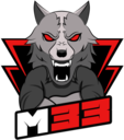 Team M33 vs LFO UKRAINE