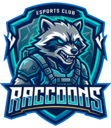 Raccoons vs Fire Flux Esports