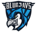 BLUEJAYS.de