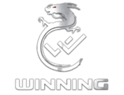 Winning Gaming