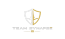 Team Synapse
