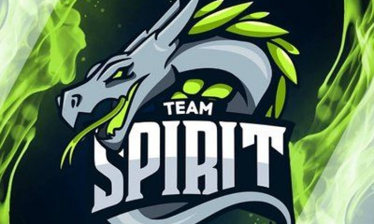 Team spirit картинки